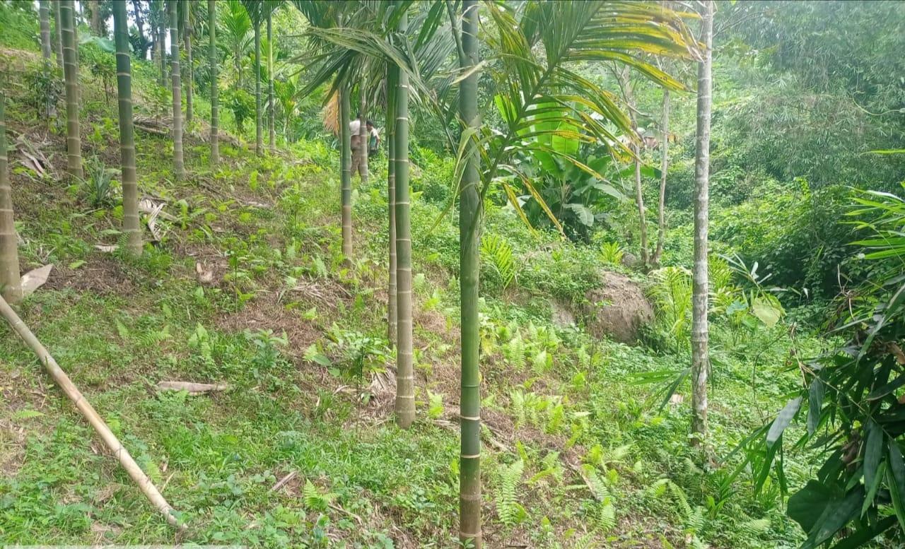 G:\VILLAGE REPORT PICTURES\mawker latest\WhatsApp Image 2023-02-06 at 12.34.21.jpeg